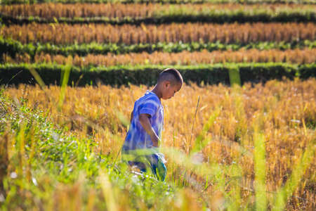Children play soccer and looking for a ball in the field at Doi Inthanon national park. Chiang Mai, Thailand - November 10 2017.のeditorial素材