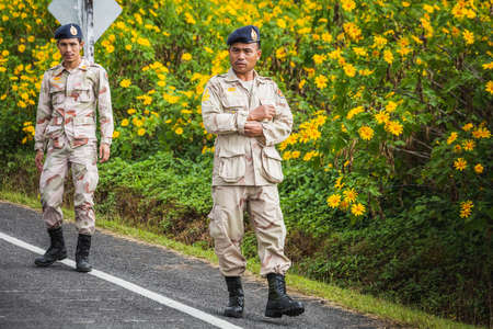 Army man come to see sunflowers bloom at Doi Inthanon park. Chiang Mai, Thailand - November 11 2017.のeditorial素材