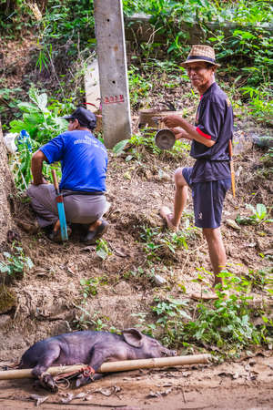 Tribal hunters stands in the jungle with tied pig and performing ritual.. Chiang Mai, Thailand - November 12 2017. 2017.のeditorial素材