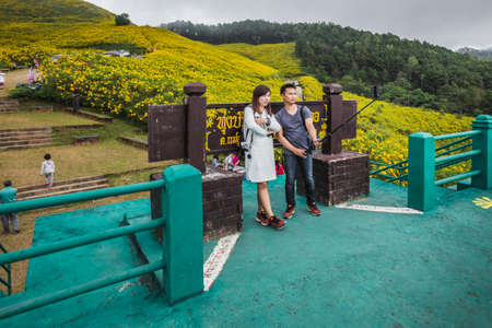 Locals come to see sunflowers bloom at Doi Inthanon park. Chiang Mai, Thailand - November 11 2017.のeditorial素材