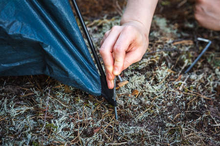 Beautiful girl pitching tent. Uses metal rods to pin tent to the ground. Camping and outdoor...