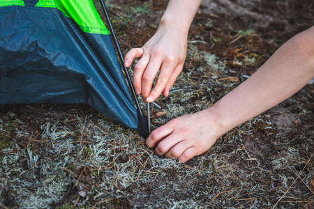 Beautiful girl pitching tent. Uses metal rods to pin tent to the ground. Camping and outdoor...