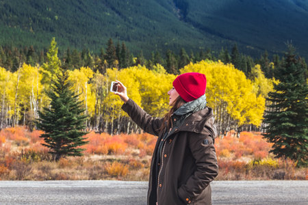 Pretty woman takes pictures on the smartphone of the yellow larches and snowy mountains at Kananaskis National Park, Canada. Banff Canada - September 30, 2018.のeditorial素材