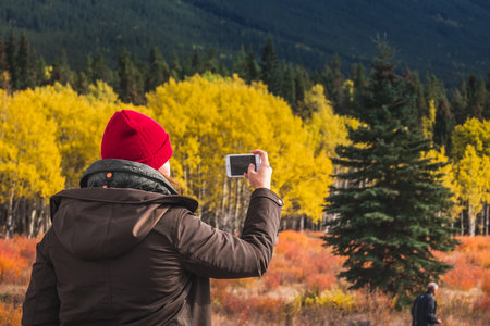 Pretty woman takes pictures on the smartphone of the yellow larches and snowy mountains at Kananaskis National Park, Canada. Banff Canada - September 30, 2018.のeditorial素材