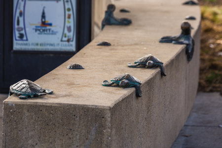 Turtles statues at San Francisco waterfront promenade. San Francisco, USA - September 14 2018.のeditorial素材