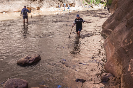 Hikers crossing river at the Zion Narrows, narrow of the Virgin River, steep faces of Zion Canyon, Zion National Park, Utah, USA. Springdale, USA - September 20, 2018.のeditorial素材