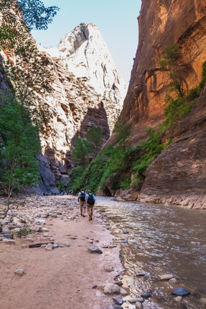 Hikers crossing river at the Zion Narrows, narrow of the Virgin River, steep faces of Zion Canyon, Zion National Park, Utah, USA. Springdale, USA - September 20, 2018.のeditorial素材