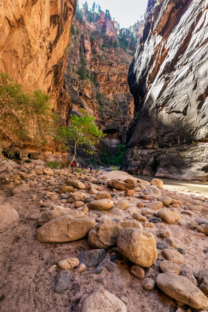 Rough river crossing at the Zion Narrows, narrow of the Virgin River, steep faces of Zion Canyon, Zion National Park, Utah, USA. Springdale, USA - September 20, 2018.のeditorial素材