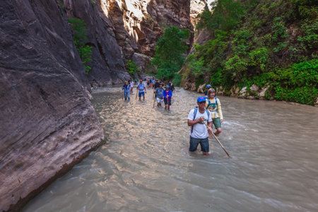Hikers crossing river at the Zion Narrows, narrow of the Virgin River, steep faces of Zion Canyon, Zion National Park, Utah, USA. Springdale, USA - September 20, 2018.のeditorial素材