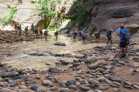 Hikers crossing river at the Zion Narrows, narrow of the Virgin River, steep faces of Zion Canyon, Zion National Park, Utah, USA. Springdale, USA - September 20, 2018.のeditorial素材