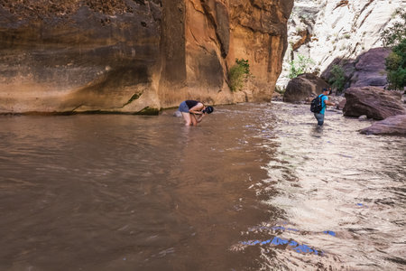Rough river crossing at the Zion Narrows, narrow of the Virgin River, steep faces of Zion Canyon, Zion National Park, Utah, USA. Springdale, USA - September 20, 2018.のeditorial素材