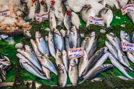 Closeup of assorted seafood and fish at Fish market in Istanbul, Turkey, selective focus. Food background. Raw fish and seafood. Istanbul, Turkey - September 30 2020.のeditorial素材