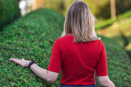 Tea plantations near Rize in Turkey editorial