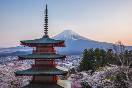 Stunning view of Mount Fuji from Chureito Pagoda in Fujiyoshida, Japan. Cherry blossoms in full...