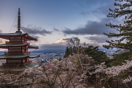 Stunning view of Mount Fuji from Chureito Pagoda in Japan, during cherry blossom season. The iconic red pagoda stands majestically amidst the vibrant pink blooms, creating a breathtaking scene.の写真素材