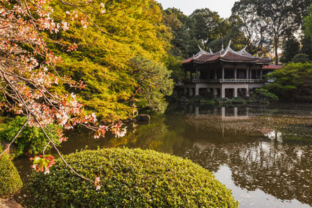 Serene Japanese garden scene featuring a traditional pagoda overlooking a calm pond. Cherry blossoms and autumn foliage create a picturesque landscape. Perfect for relaxation and tranquility themes.の写真素材