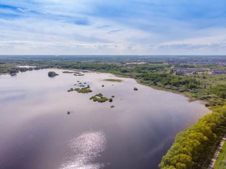 Aerial view of the lake and forest on a sunny summer dayの写真素材