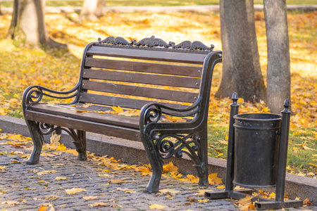 Bench in the park with a trash can and fallen leaves in autumnの写真素材