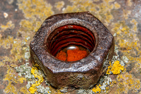 Old rusty bolt on a background of moss. close-up.の写真素材