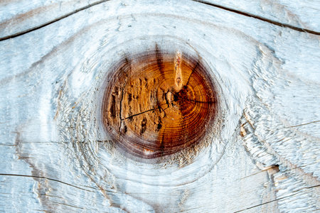 The old wood texture with natural patterns. floor surface rustic backgroundの写真素材