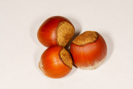 Three hazelnuts on a white background, close-up.