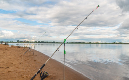 Fishing rod on the shore of the lake in the summer.の写真素材