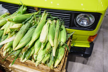 Fresh corn in a basket on the background of a green car.