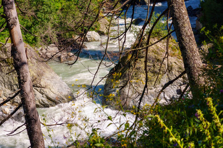 mountain river with fast flowing water and rocks in green summer forest