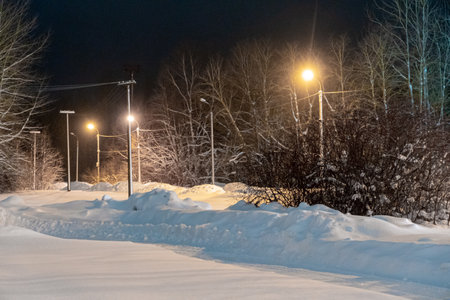 Winter night in the city park. Street lights in the snow.の写真素材