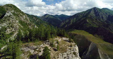 Mountain woodlandの写真素材