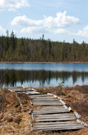 Old wooden pier to lake, coniferous wood, cloudの写真素材