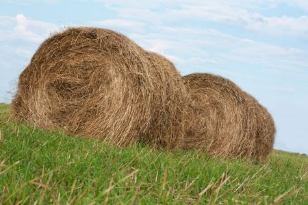 Two stack hay rolled up in package on green herb on background sky
