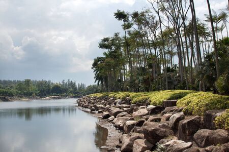 Tropical river, stone coast, palms, dull skyの写真素材