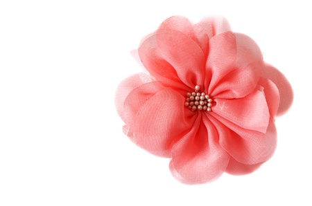 Red fabrics rose insulated on white backgroundの写真素材