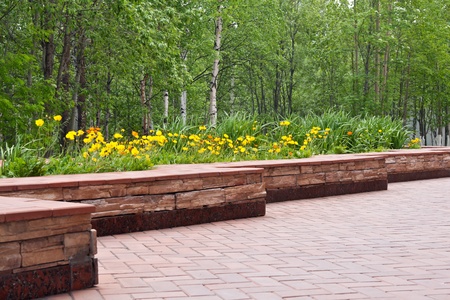 stone bed with flowered poppy in a forestの写真素材