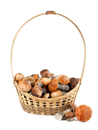 Basket with mushrooms isolated on white backgroundの写真素材
