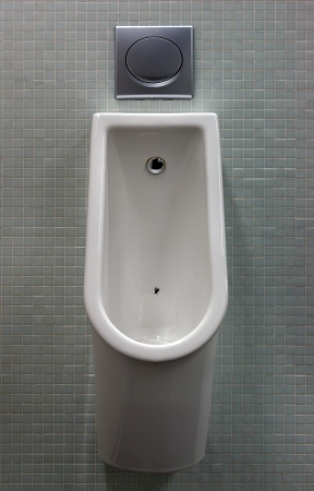 urinal with white painted a fly on the toilet in the tiled wallの写真素材