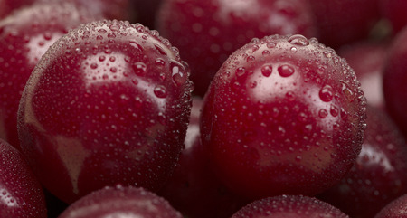 Two cherry close-up drops. Shallow depth of field.