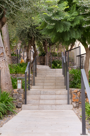 Concrete stairs in green stretches upの写真素材