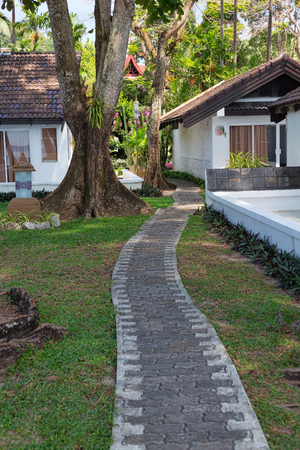 path between the houses in the jungle.のeditorial素材