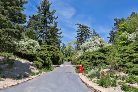 Road in the summer forest with a barrierの写真素材