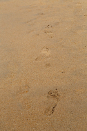 Traces of feet on the yellow sand tropicalの写真素材