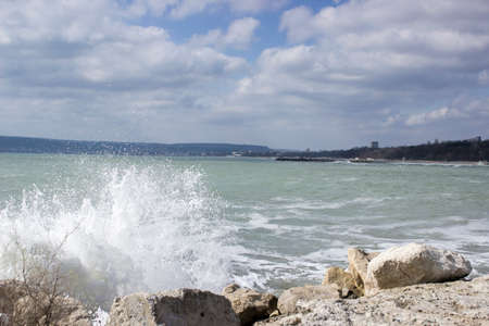 ????? ????の写真素材