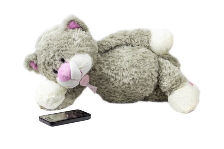 Toy cat looks at smartphone.white backgroundの写真素材