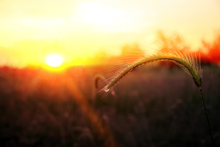 dawn of the Red Sunの写真素材