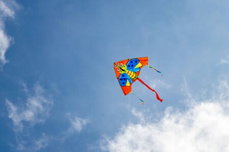 kite against the blue sky Bulgaria Varna 18 08 2019