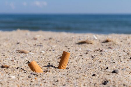 cigarettes in the sand environmental pollution and natureの写真素材