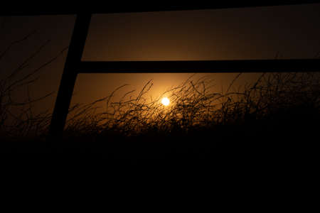 grass at sunset on the background of a pipe