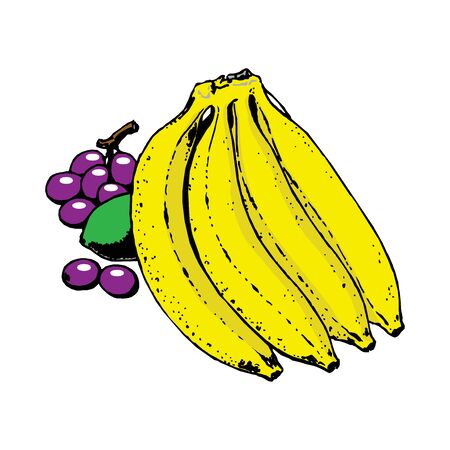 Banana and grape vector juicy ripe fruits-3. EPS10のイラスト素材