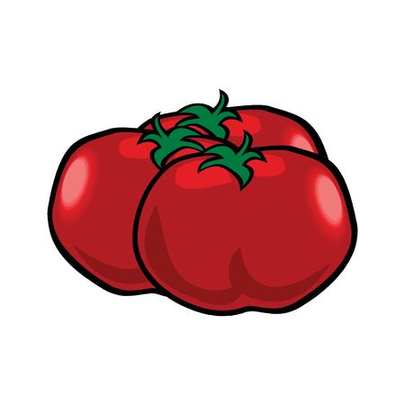 Tomato set. Whole and half cut tomatoes isolated on white background. Vector cartoon illustration. Fresh red Vegetable, Vegetarian, vegan Healthy organic foodのイラスト素材